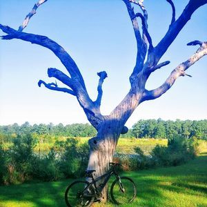 Meet your Posher, Shane